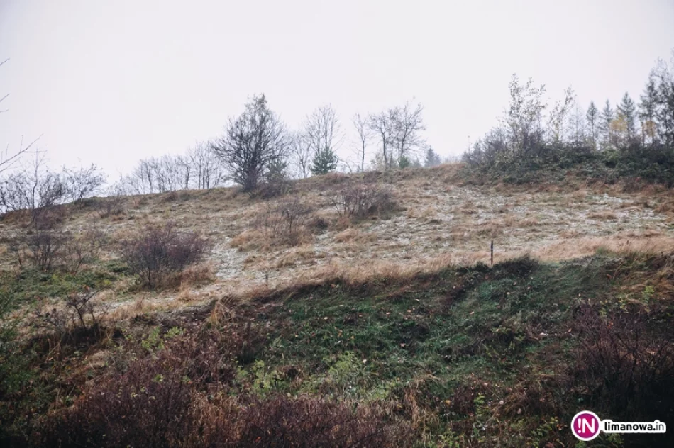 Pierwsze opady śniegu 2017 - zdjęcie 2