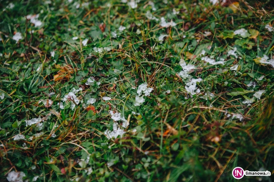 Pierwsze opady śniegu 2017 - zdjęcie 5