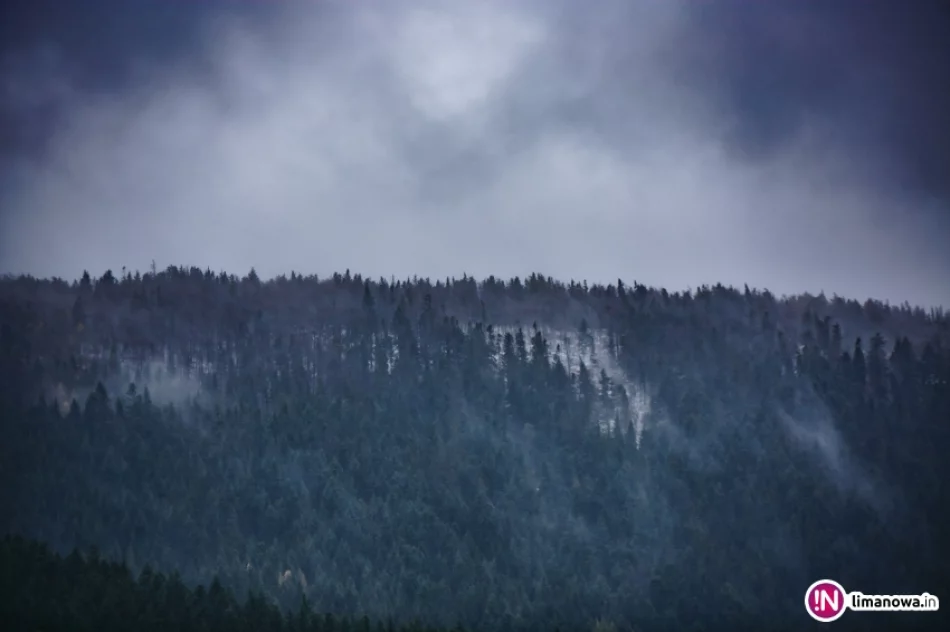Pierwsze opady śniegu 2017 - zdjęcie 8