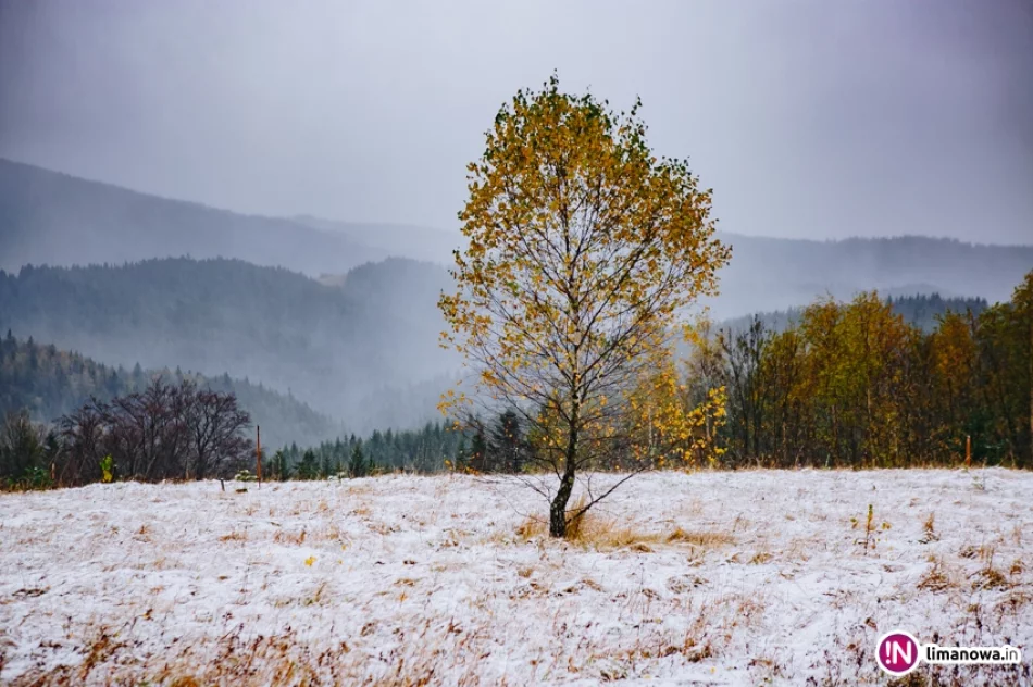 Pierwsze opady śniegu 2017 - zdjęcie 12