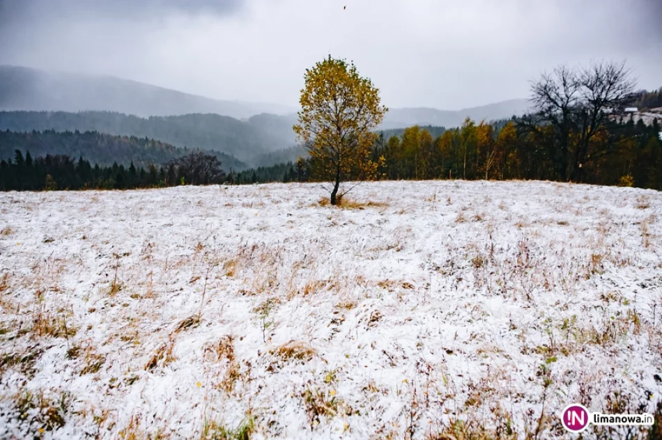 Pierwsze opady śniegu 2017 - zdjęcie 13