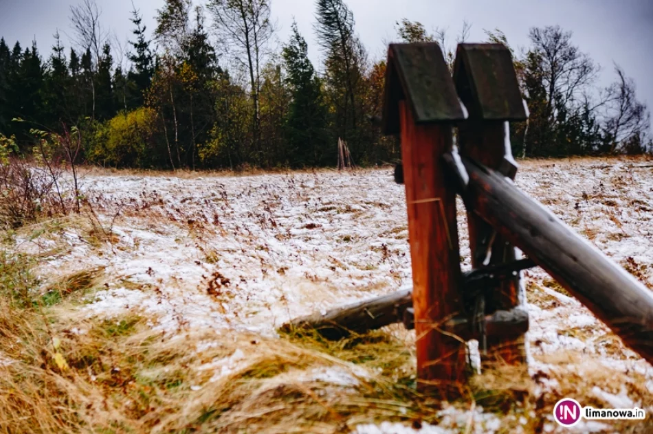 Pierwsze opady śniegu 2017 - zdjęcie 14