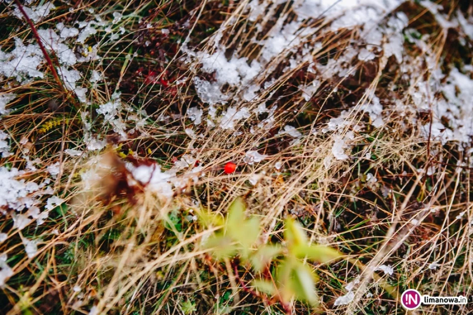 Pierwsze opady śniegu 2017 - zdjęcie 15
