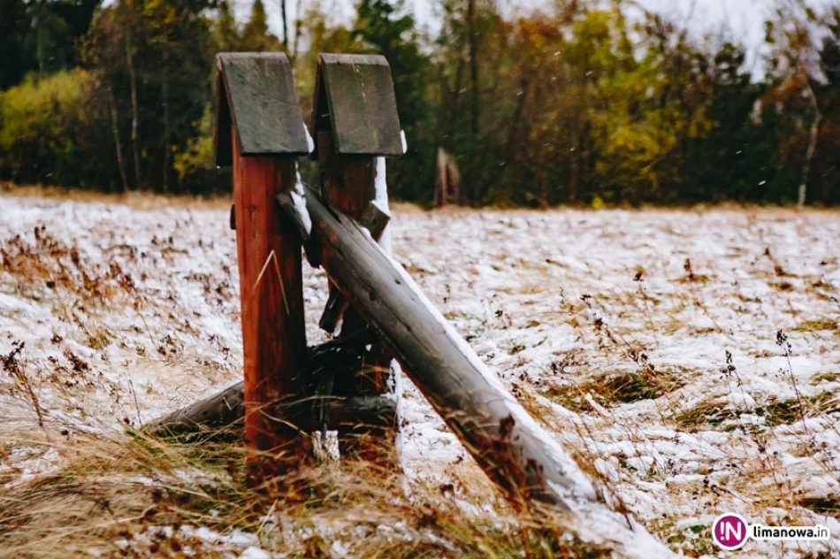 Pierwsze opady śniegu 2017 - zdjęcie 16