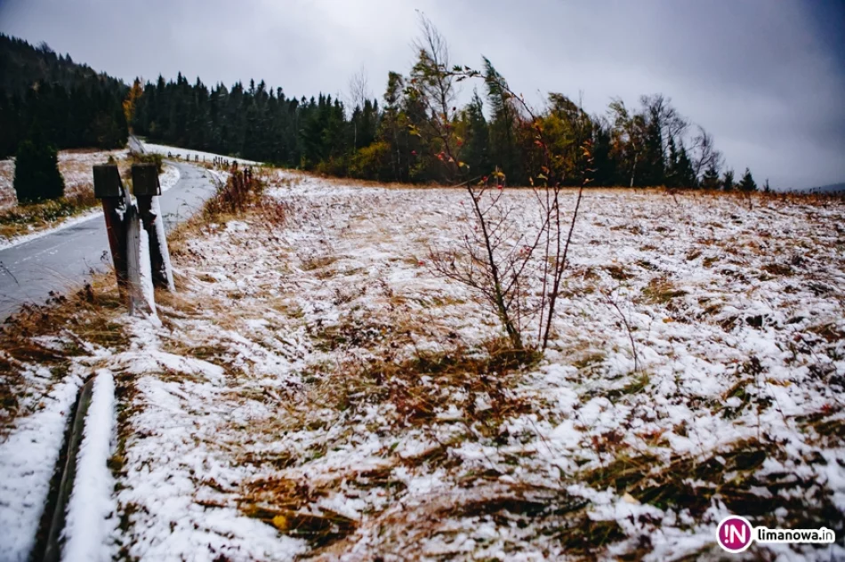 Pierwsze opady śniegu 2017 - zdjęcie 18