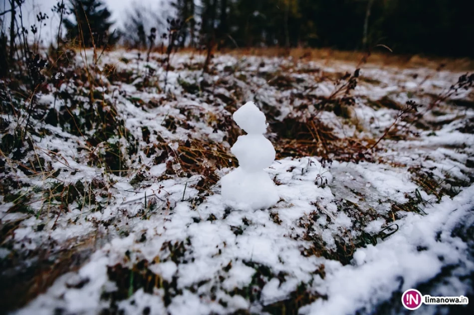 Pierwsze opady śniegu 2017 - zdjęcie 19