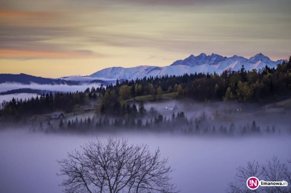 Mglisty poranek w Beskidzie Wyspowym - zdjęcie 5