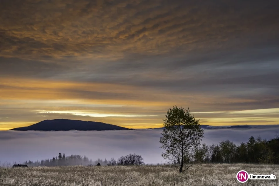 Mglisty poranek w Beskidzie Wyspowym - zdjęcie 10