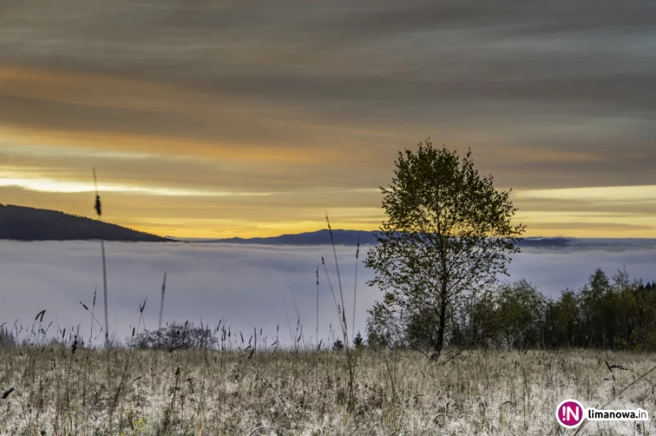 Mglisty poranek w Beskidzie Wyspowym - zdjęcie 13