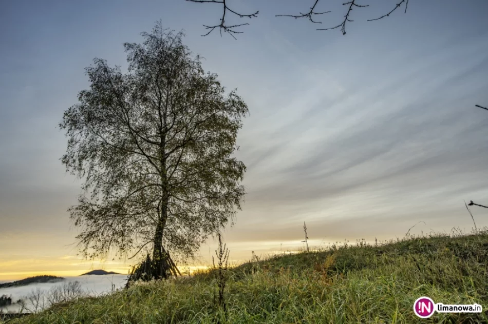 Mglisty poranek w Beskidzie Wyspowym - zdjęcie 15