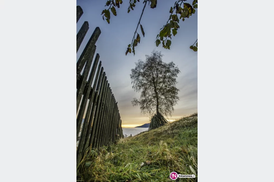 Mglisty poranek w Beskidzie Wyspowym - zdjęcie 16