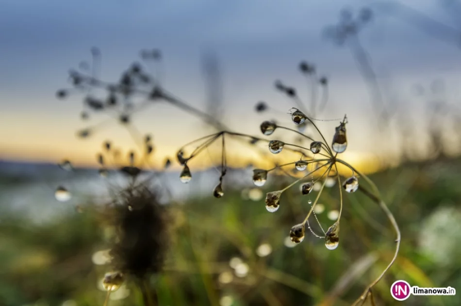 Mglisty poranek w Beskidzie Wyspowym - zdjęcie 18