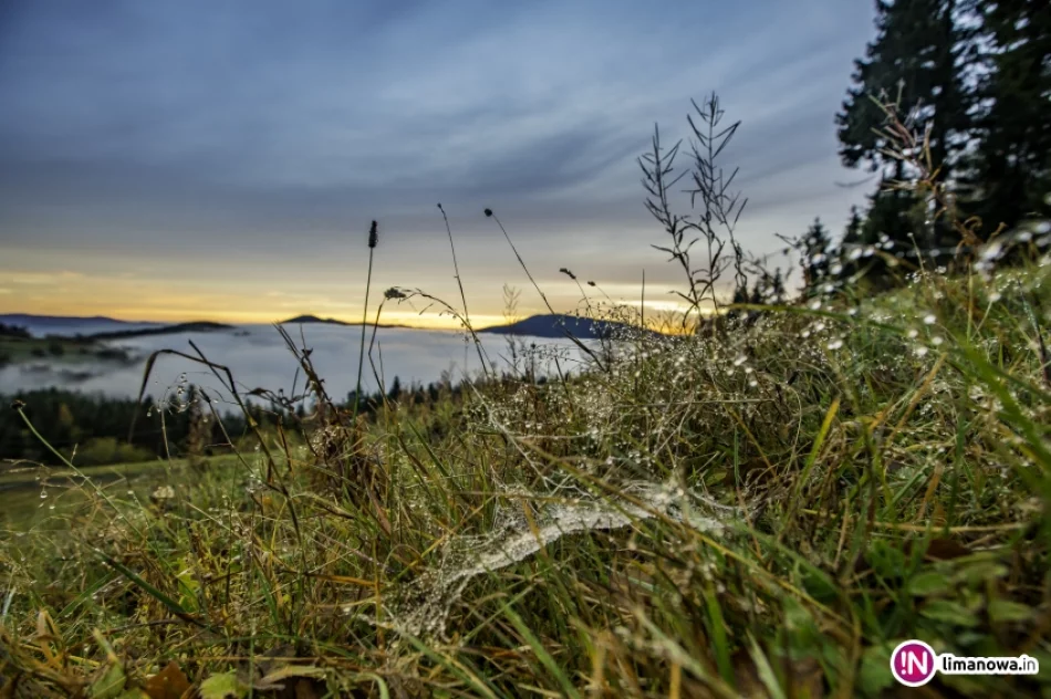 Mglisty poranek w Beskidzie Wyspowym - zdjęcie 19