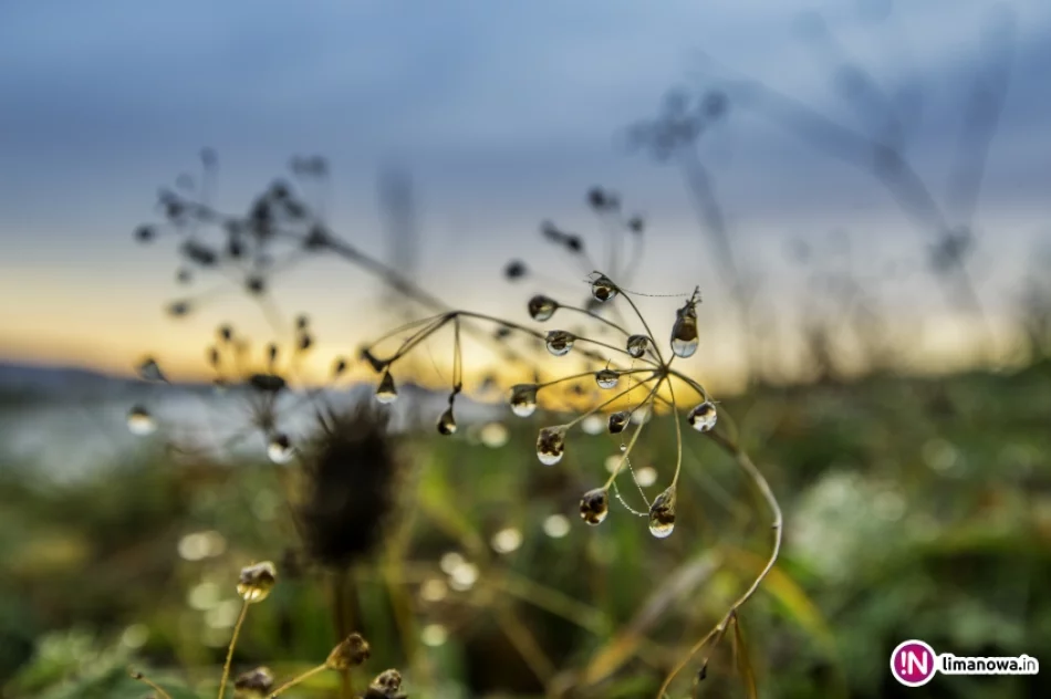 Mglisty poranek w Beskidzie Wyspowym - zdjęcie 20