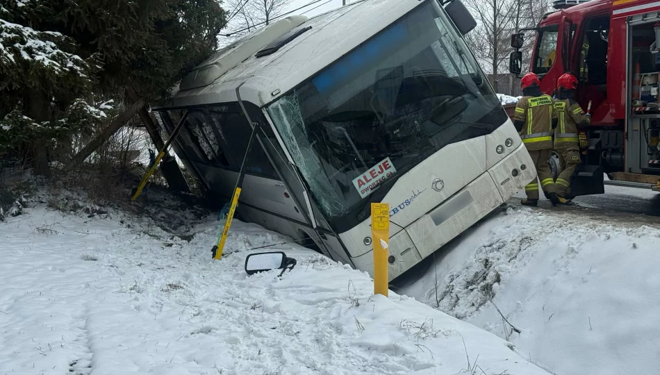 Autobus w rowie - zdjęcie 1