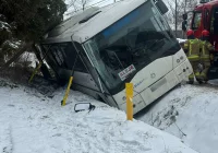 Autobus w rowie - zdjęcie główne