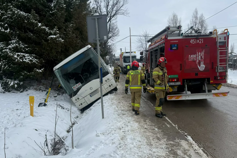 Autobus w rowie - zdjęcie 2