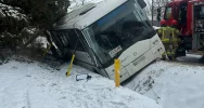 Autobus w rowie - zdjęcie 3
