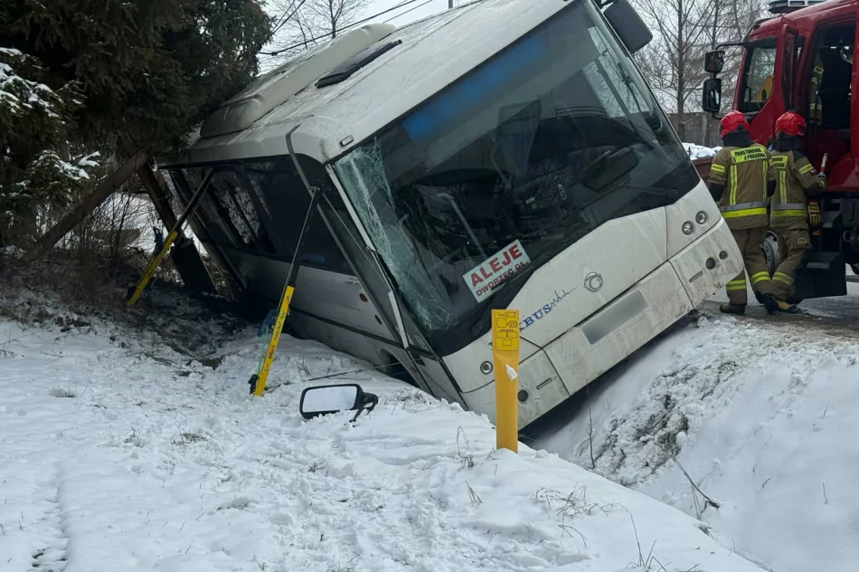 Autobus w rowie - zdjęcie 3