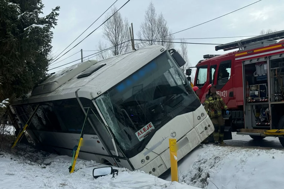 Autobus w rowie - zdjęcie 4