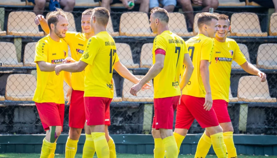 Sparing Limanovii przy sztucznym oświetleniu - zdjęcie 1