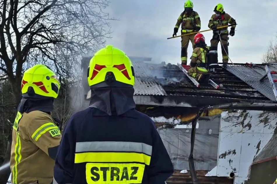 Pożar z trudnym dojazdem na szczycie góry - zdjęcie 9