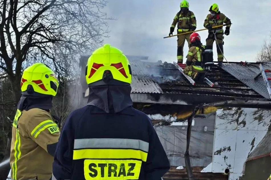 Pożar z trudnym dojazdem na szczycie góry - zdjęcie 10