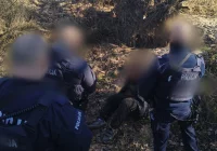 Eksperci o zbrodni w Kadłubie: internet może stać się katalizatorem tragedii - zdjęcie główne