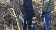 Przyznał się do zabójstwa bliskich i spowodowania alarmów bombowych w Limanowej - zdjęcie 2