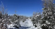 Od braku śniegu po zaspy „po kolano” - zdjęcie 4