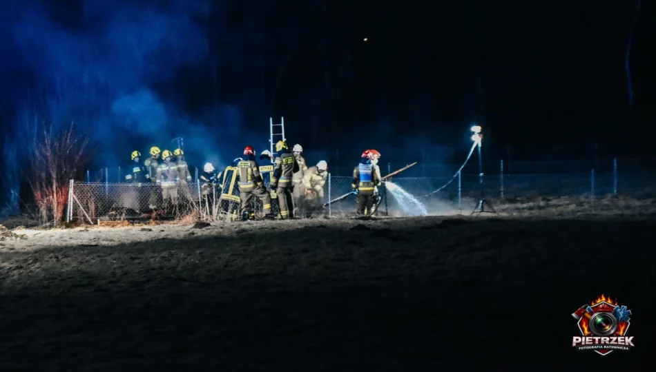 Nocny pożar - ogień strawił drewnianą konstrukcję - zdjęcie 1
