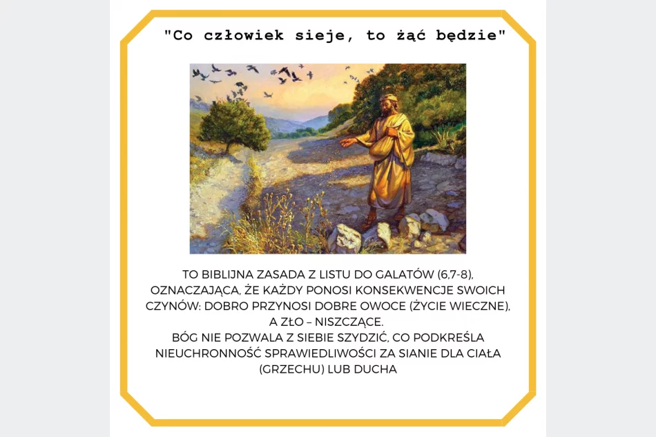 Refleksja na temat wartości we współczesnym świecie - felieton Janiny Firlej - zdjęcie 3
