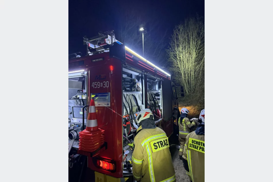 Pożar lasu - siedem zastępów straży w akcji - zdjęcie 4