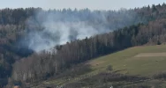 Pożar lasu - siedem zastępów straży w akcji - zdjęcie 5