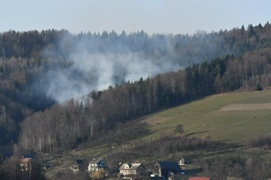 Pożar lasu - siedem zastępów straży w akcji - zdjęcie 5