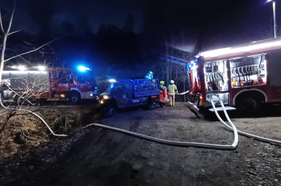 Pożar lasu - siedem zastępów straży w akcji - zdjęcie 12