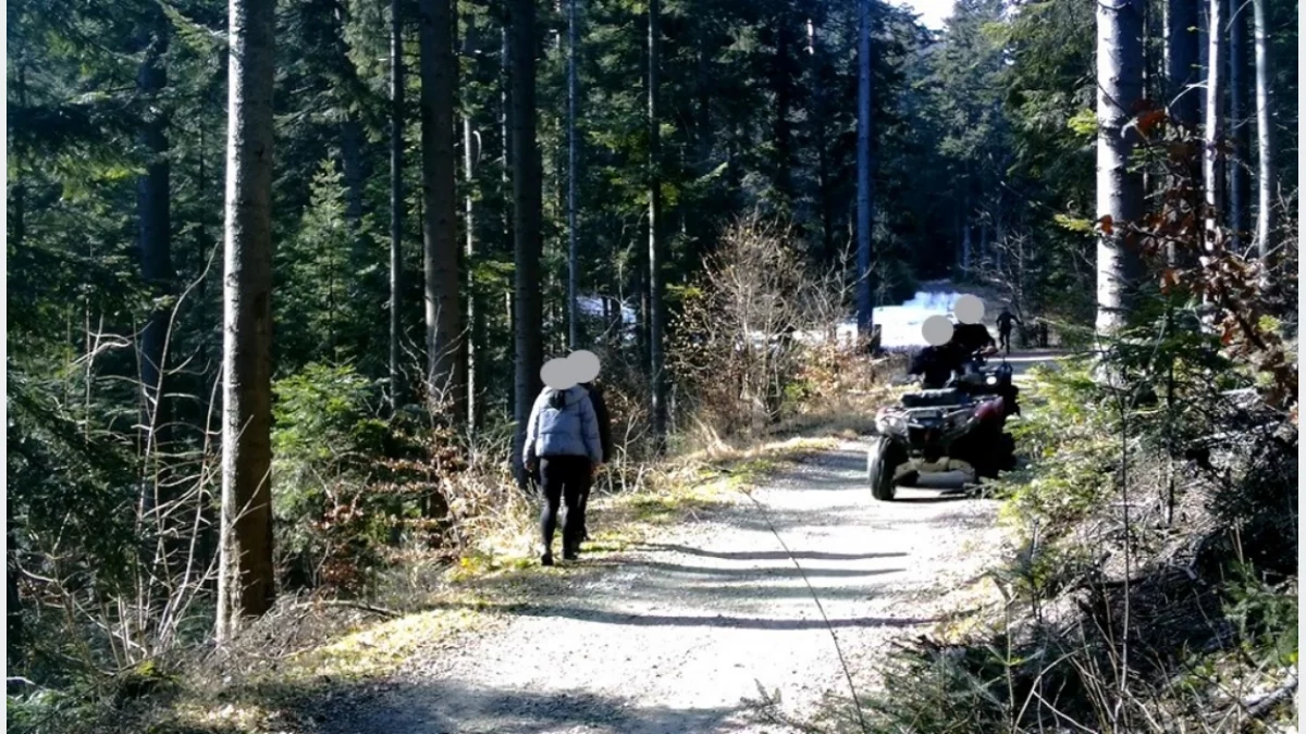 Przejazd pojazdu typu quad na drodze leśnej w powiecie limanowskim