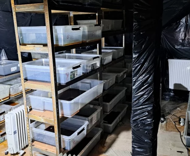 Gigantyczna fabryka narkotyków. Policja przejęła towar wart 22,5 mln zł - zdjęcie główne