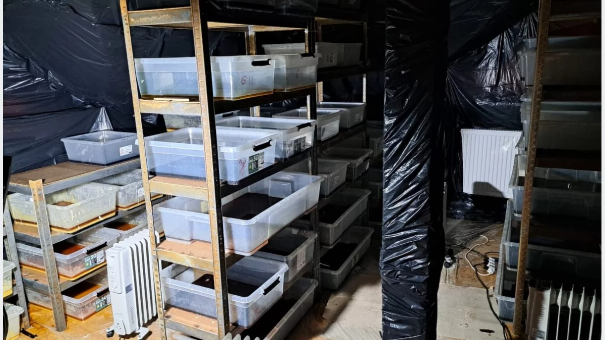 Gigantyczna fabryka narkotyków. Policja przejęła towar wart 22,5 mln zł