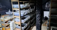 Gigantyczna fabryka narkotyków. Policja przejęła towar wart 22,5 mln zł - zdjęcie 5