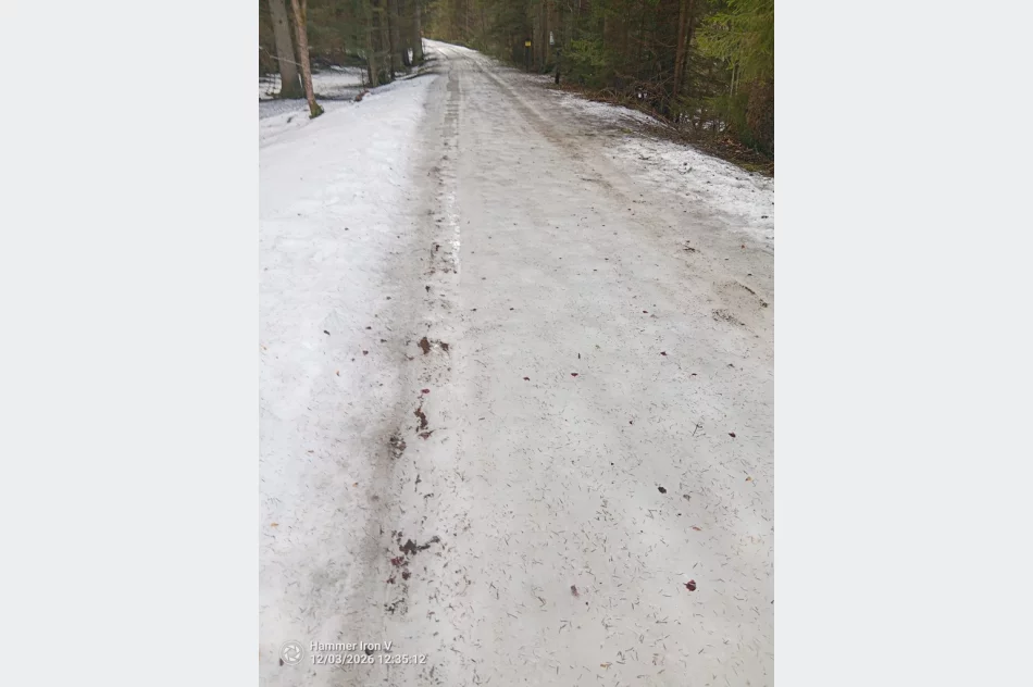 Lód, śnieg i błoto. Trudne warunki na gorczańskich szlakach - zdjęcie 6