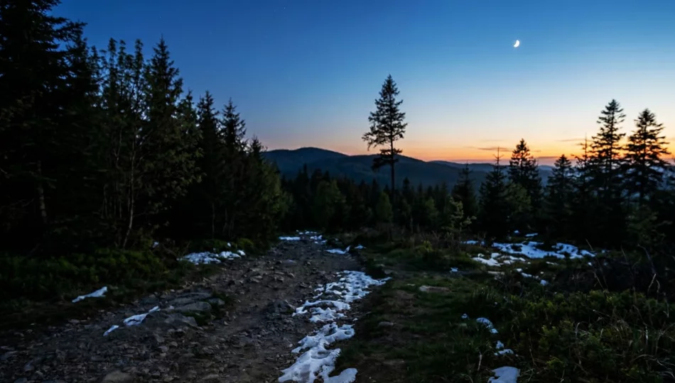 Nocny zakaz na gorczańskich szlakach  - zdjęcie 1