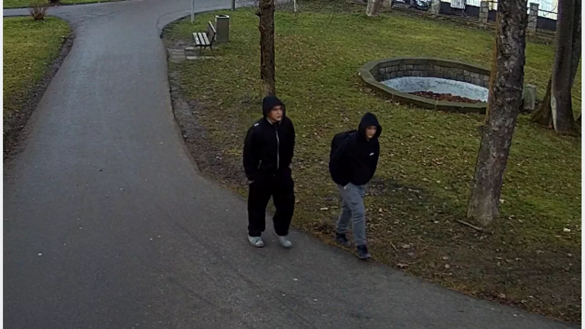 Kadr z monitoringu przedstawiający mężczyzn podejrzewanych o malowanie graffiti w parku miejskim w Limanowej.