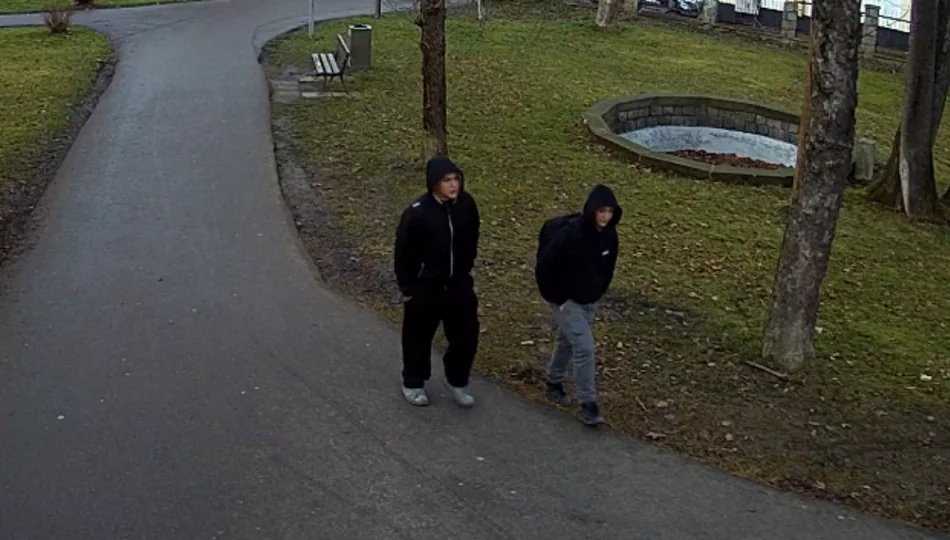 Policja szuka wandali - widziałeś ich? (WIDEO) - zdjęcie 1
