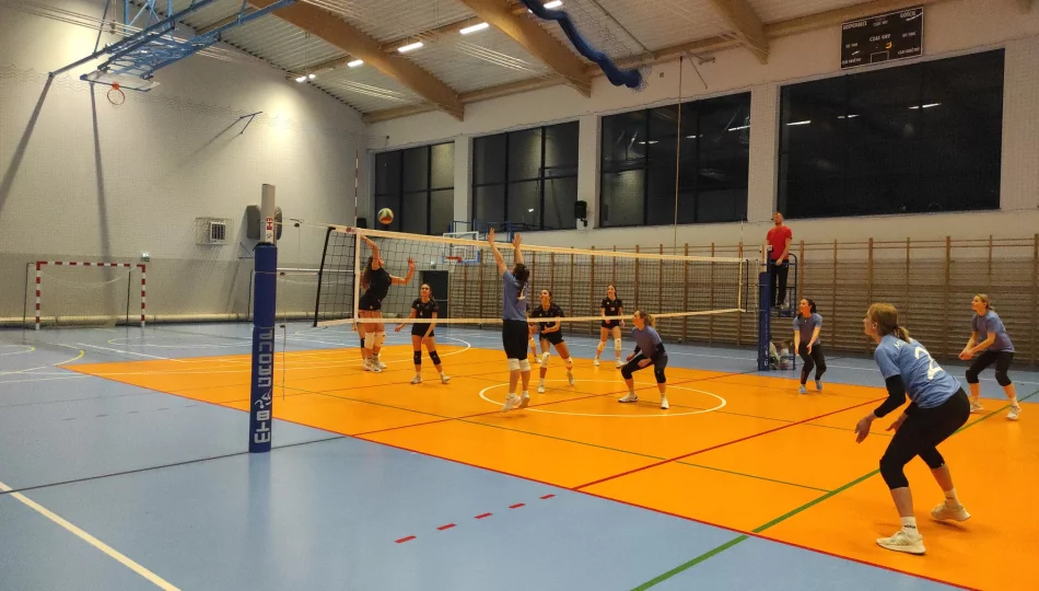 Znamy siatkarskich zwycięzców sezonu 2025/2026 - zdjęcie 1