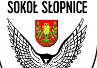 Sokół Słopnicy rozbity na Podhalu - zdjęcie główne