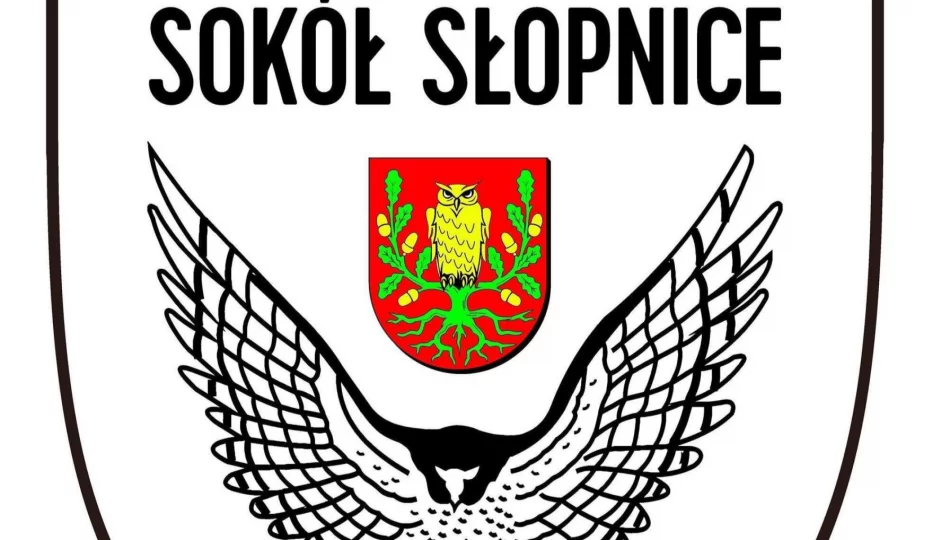Sokół Słopnicy rozbity na Podhalu - zdjęcie 1