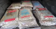 Zatrzymane trzy osoby podejrzane o udział w gangu handlującym narkotykami - zdjęcie 4