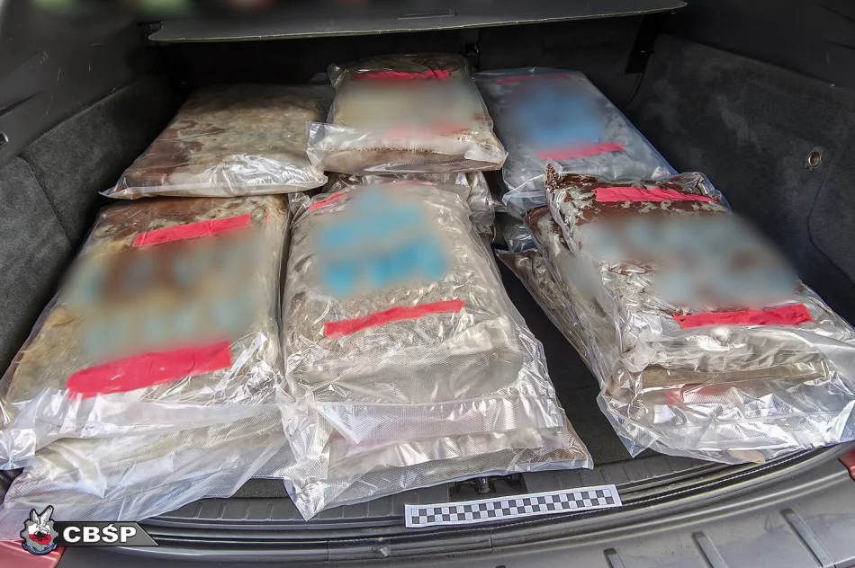 Zatrzymane trzy osoby podejrzane o udział w gangu handlującym narkotykami - zdjęcie 4