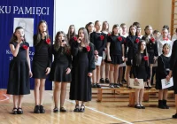 Wieczornica patriotyczna– lekcją historii w Szkole Podstawowej Nr 1 w Starej Wsi - zdjęcie główne